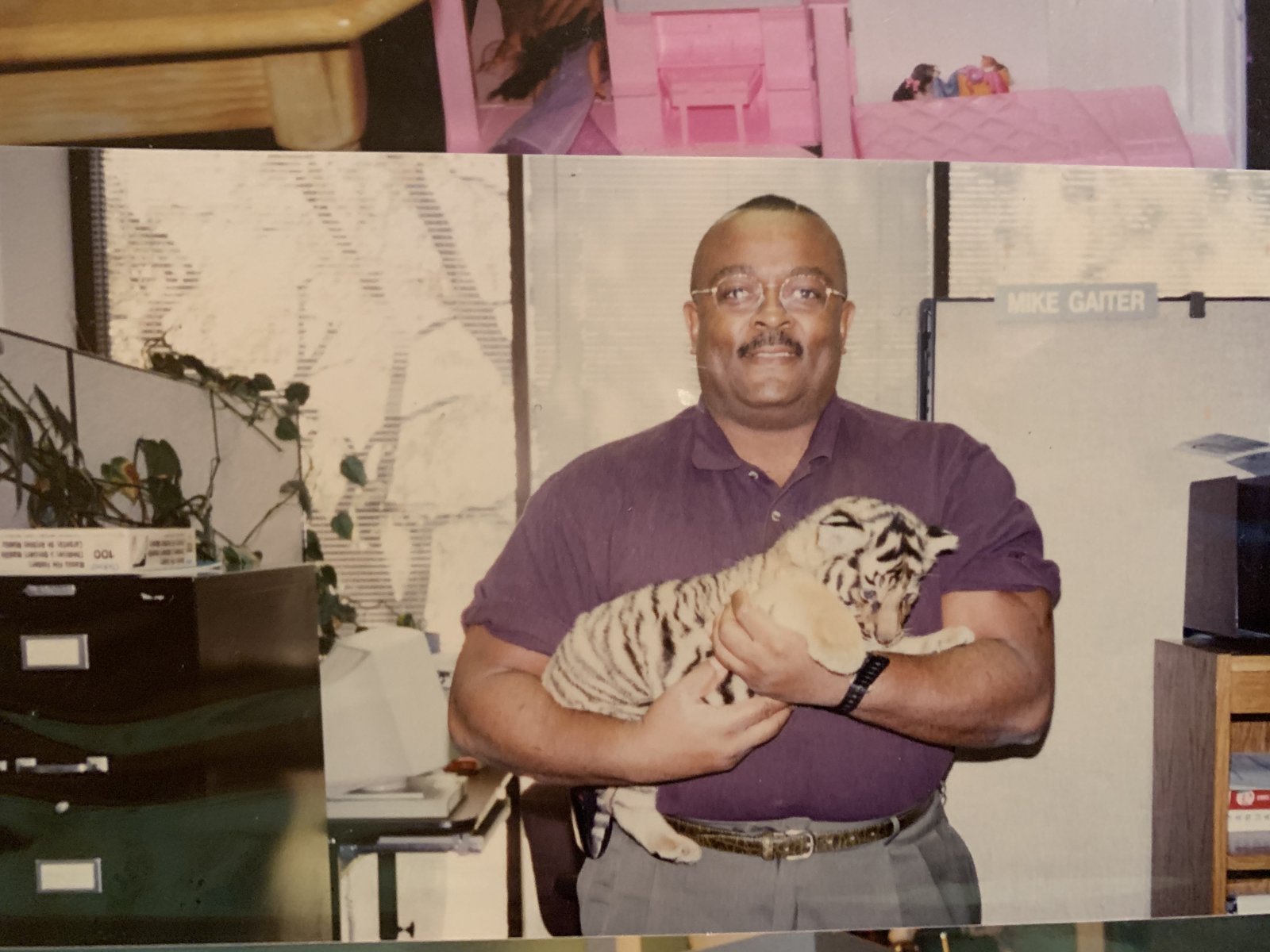 Michael Gaiter at his City of Garland desk holding a tiger cub